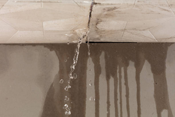Professional Burst Pipe Cleanup technician working in Gloverville, SC